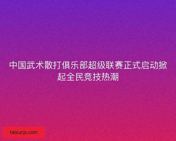 中国武术散打俱乐部超级联赛正式启动掀起全民竞技热潮