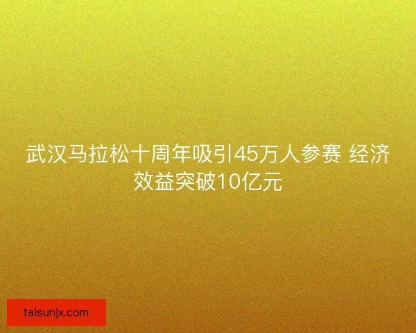 武汉马拉松十周年吸引45万人参赛 经济效益突破10亿元